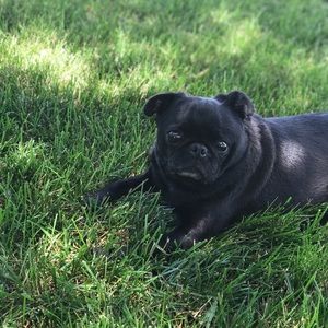 Meet your Posher, Taylor